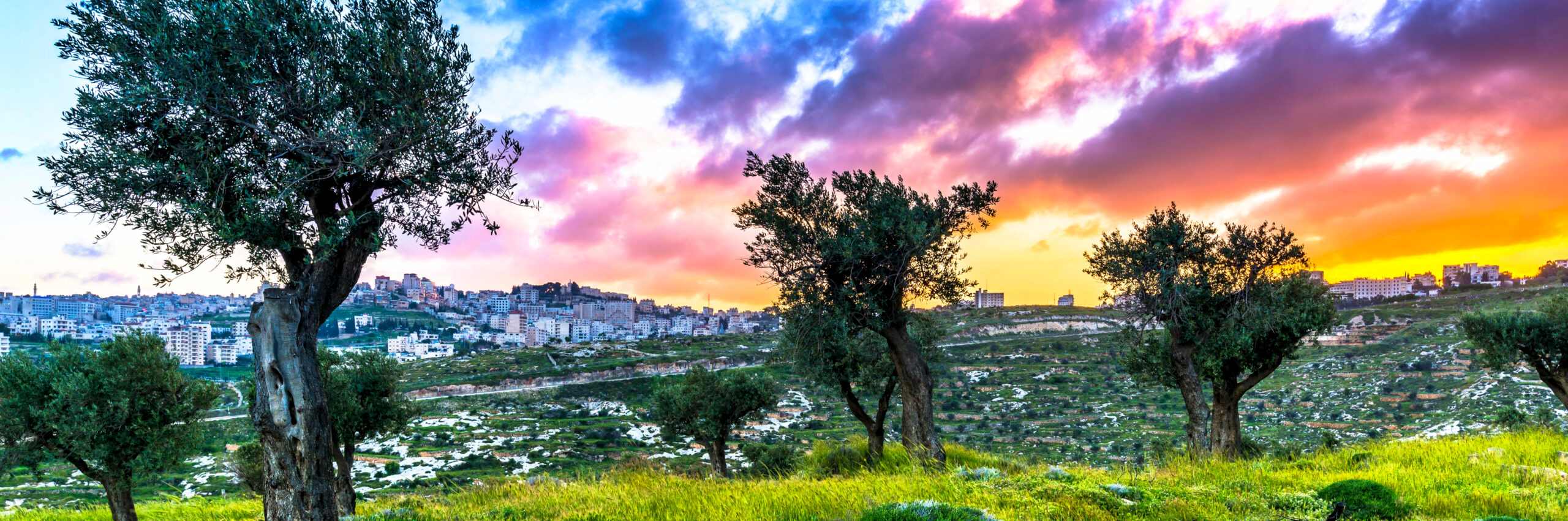 Panorama of Jerusalem old city. Israel